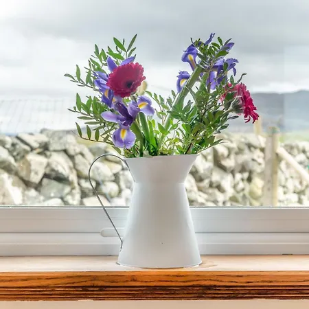 3 Bed In Roundstone Oc-i234 Holiday home *